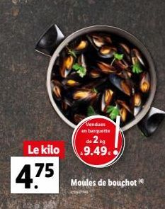 moules 