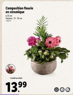 Composition fleurie  en céramique  e 23 cm Hauteur: 15-35 cm  tunihd au chol  13.⁹⁹  99  no  