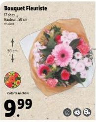 50 cm  Coloris au choix  9.9⁹9⁹  Bouquet Fleuriste  17 tiges  Hauteur: 50 cm  IN 