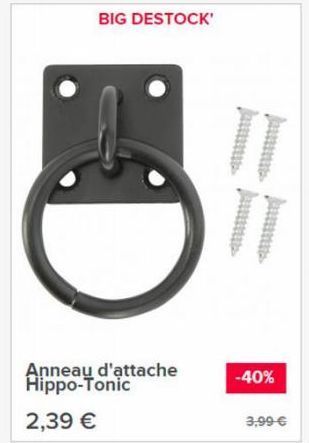 BIG DESTOCK'  Anneau d'attache Hippo-Tonic  2,39 €  II T  -40%  3,99 € 