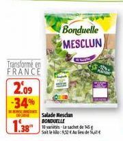 salade Bonduelle