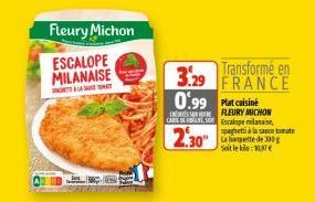 Fleury Michon ESCALOPE MILANAISE  STOMAT  Transformé en 3.29 FRANCE 0.99 Plat cuisine  FLEURY MICHON CARINS Escalope milanaise,  2.30"  spaghetti à la sauce tomate La banquette de 300g soit le : 197 
