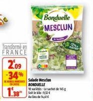 Transformé en FRANCE  2.09 -34%  ENCAN  1.38  Salade Mesclun BONDUELLE 10 artis-Le sachet de 15  Au lieu de 14,41 €  Bonduelle MESCLUN 