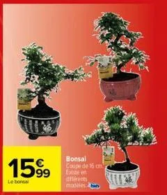 159⁹  le bonsal  bonsai coupe de 16 an existe en différents modèles à 