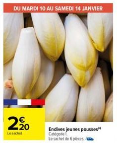 2,⁹0  Lesachet  Endives jeunes pousses Catégorie Le sachet de 6 pièces. 