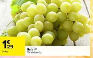 1919  le kg  raisin variété aledo. 