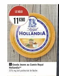 le kilo  11690  royal hollandia  g gouda jeune au cumin royal hollandia  31% mg lait pasteurisé de vache 
