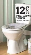 12.  l'abattant wc tropical 37x46 cm. thermodu 