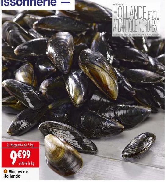 moules