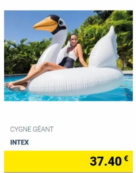 cygne géant  intex  37.40€ 