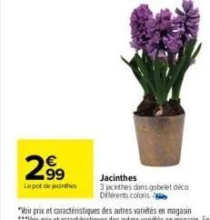 2.99  lepot de jacinthes  jacinthes  3 jacinthes dans gobelet déco différents coloris 