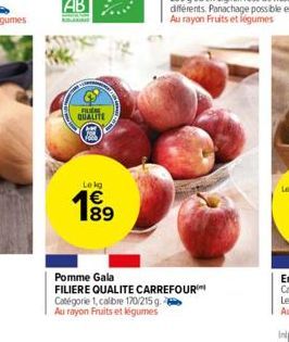 FILM  QUALITE  O  Lekg  189  00  Pomme Gala  FILIERE QUALITE CARREFOUR Catégorie 1, calibre 170/215 g. Au rayon Fruits et légumes 