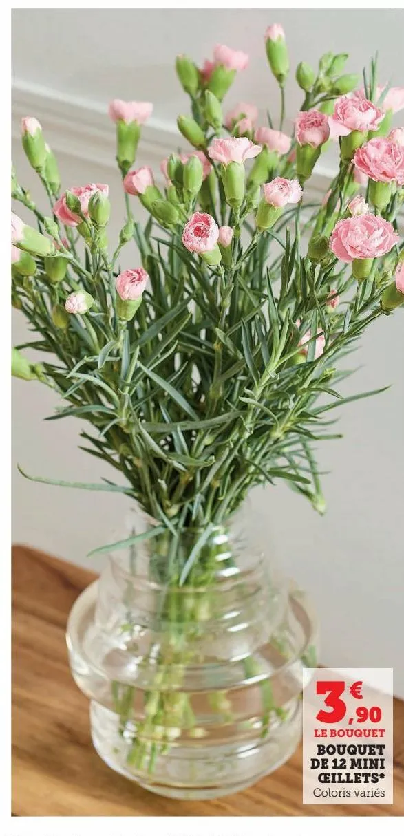 bouquet de 12 mini oeillets