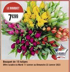 LE BOUQUET  7€99  FLEURS FRANCE  Bouquet de 15 tulipes  Offre valable du Mardi 17 Janvier au Dimanche 22 janvier 2023 