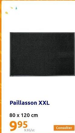 Paillasson XXL  80 x 120 cm  995  9.95/st  Consulter  
