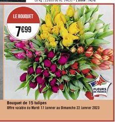 LE BOUQUET  7€99  FLEURS FRANCE  Bouquet de 15 tulipes  Offre valable du Mardi 17 Janvier au Dimanche 22 janvier 2023 