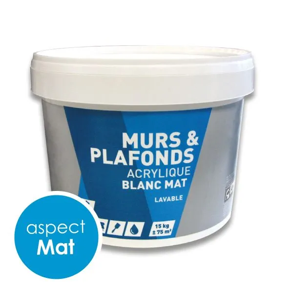 peinture blanc mat 15kg