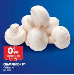 champignons 