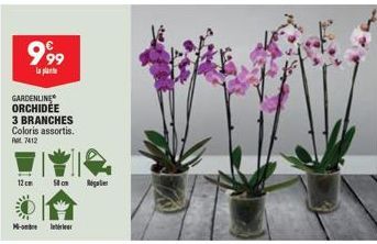 999  la plante  GARDENLINE ORCHIDÉE  3 BRANCHES Coloris assortis.  P 7412  M- 12cm Ston Monster  br 