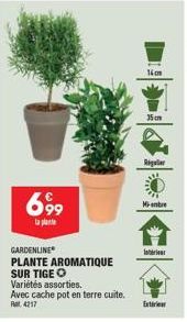 699  la plante  GARDENLINE  PLANTE AROMATIQUE SUR TIGE O  Variétés assorties.  Avec cache pot en terre cuite. Rat, 4217  16cm  35cm  Regular  Min  Interieur  Exterieur 