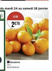 mandarine  cat 1  varie madarcot 