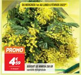 Bouquet de mimosa 250GR offre à 4,59€ sur Netto