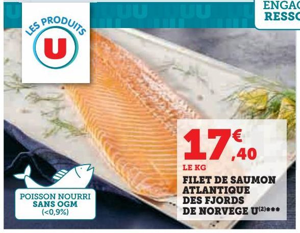 FILET DE SAUMON ATLANTIQUE DES FJORDS DE NORVEGE U ***