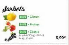 sarbets  51872- citron  51879. fraise  st-cassis  l35503 lag: 15,00  5,99€ 