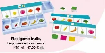 flexigame fruits, légumes et couleurs ht9145 - 47,00 € 