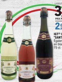 lambrusco 