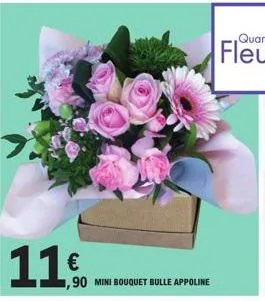 11€  1,90 mini bouquet bulle appoline 