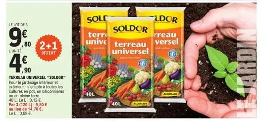 le lot de 3  9.0  l'unité  4.€0  ,90  ,80 2+1  offert  terreau universel "soldor" pour le jardinage intérieur et extérieur: s'adapte à toutes les cultures en pot, en balconnières  ou en pleine terre. 