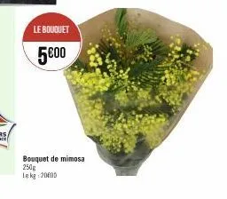 le bouquet  5000  bouquet de mimosa 250g le kg 2000 