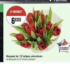 LE BOUQUET  6000  Bouquet de 12 tulipes unicolores  ou Bouquet de 12 tulipes arlequin  FLEURS  DE FRANCE 