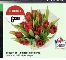 le bouquet  6000  bouquet de 12 tulipes unicolores  ou bouquet de 12 tulipes arlequin  fleurs  de france 