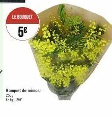 le bouquet  5€  bouquet de mimosa 250g lekg: 20€ 
