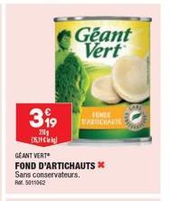 399  T  (1519)  Geant Vert  GEANT VERT  FOND D'ARTICHAUTS * Sans conservateurs. Rr5011062  FONDE CARICHALTE 