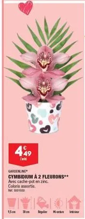 449  l'a  9,5cm  gardenline  cymbidium à 2 fleurons** avec cache-pot en zinc. coloris assortis. ret 5001930  regulier 