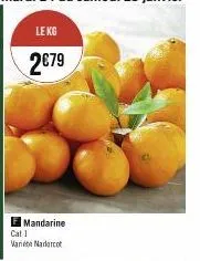 mandarine  cat 1  varie madarcot 