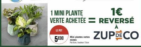 LE POT  5600 Min plantes vertes  mixtes Put 6cm, hauteur 15cm  1 MINI PLANTE  1€  VERTE ACHETÉE = REVERSÉ  À  ZUPDECO 