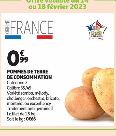 POMMES DE TERRE DE CONSOMMATION