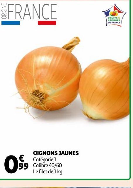 OIGNONS JAUNES