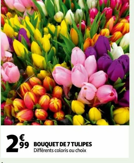 bouquet de 7 tulipes