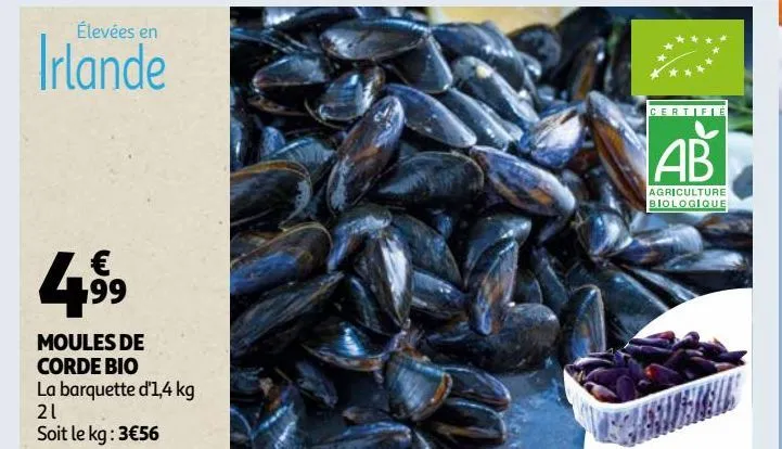 moules de corde bio