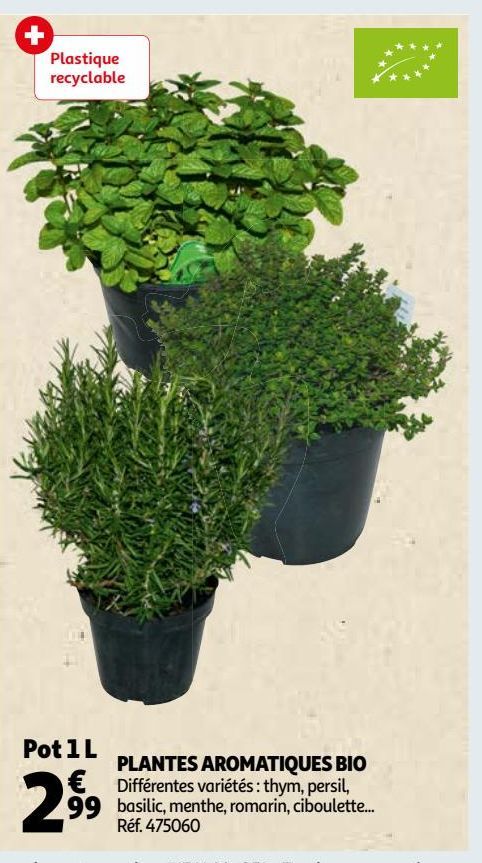 PLANTES AROMATIQUES BIO