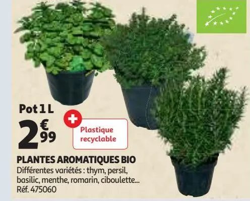 plantes aromatiques bio
