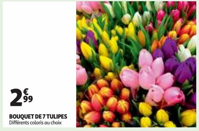 BOUQUET DE 7 TULIPES