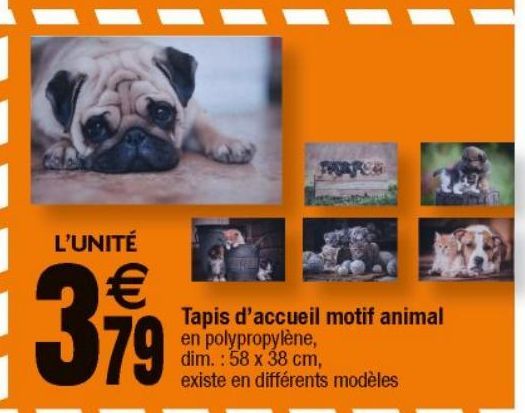 tapis d´accueil motif animal