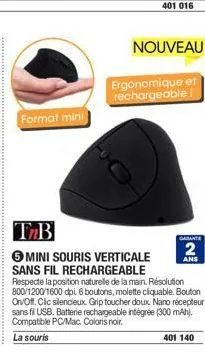 souris 