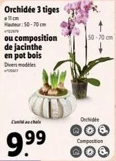 orchidée 3 tiges  allem hauteur: 50-70 cm  122979  ou composition  de jacinthe en pot bois  divers modèles 0917  l'unité au choix  9.⁹⁹9  n  50-70 cm  orchidée q  composition  *  q 